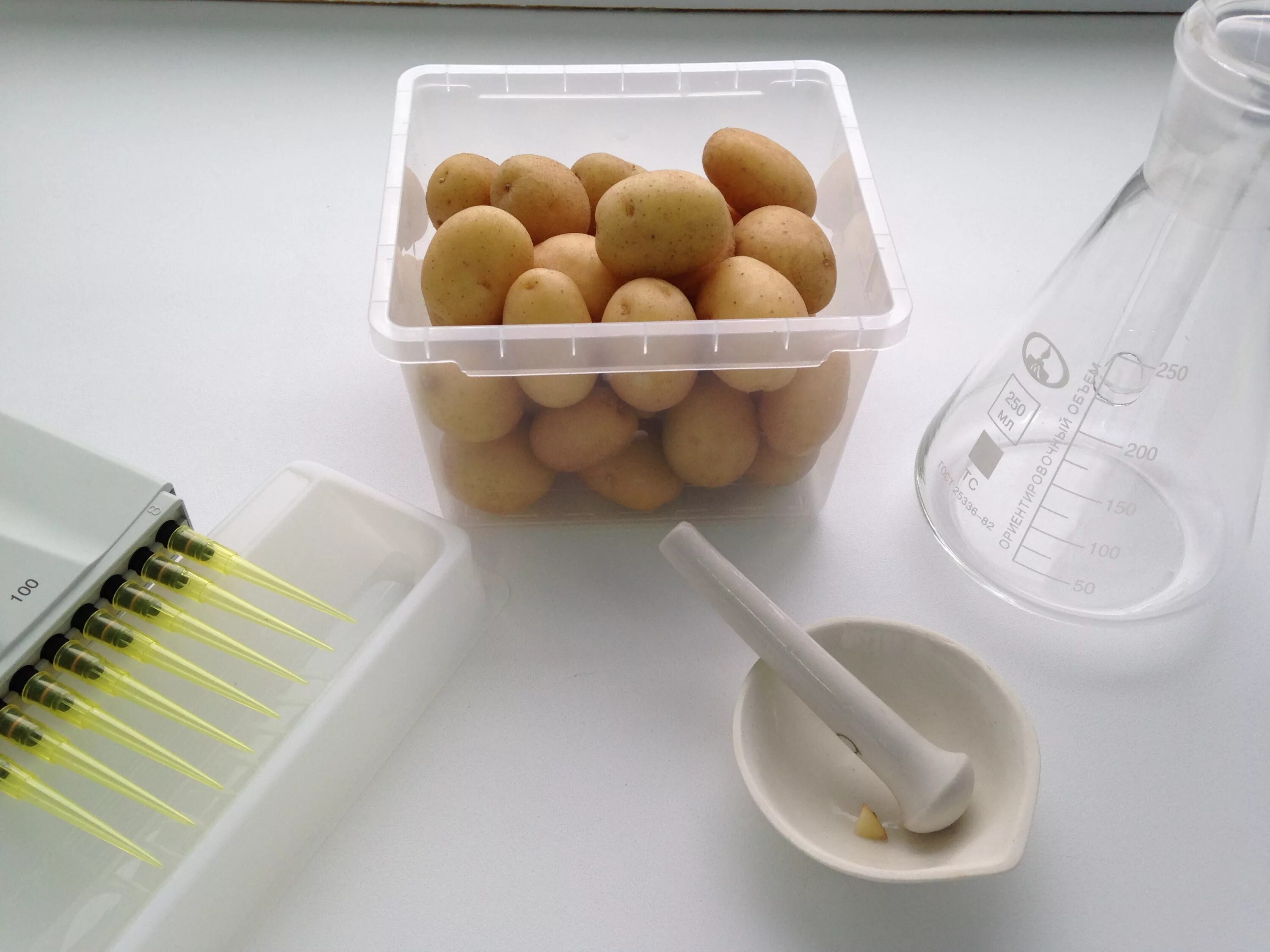 Егорьевский тепличный комбинат. Вироид веретеновидности клубней картофеля. Орбита сорт картофеля. Максимальные качества  картофеля. Выборка картофеля.