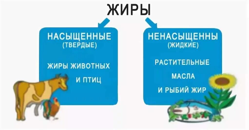 Источники полиненасыщенных жиров сливочное масло. Насыщенные и не насыщенные Диры. На ыщенные и ненасыщенные жиры. Насыщенные жиры. Насыщенный и ненасыщенный жир.