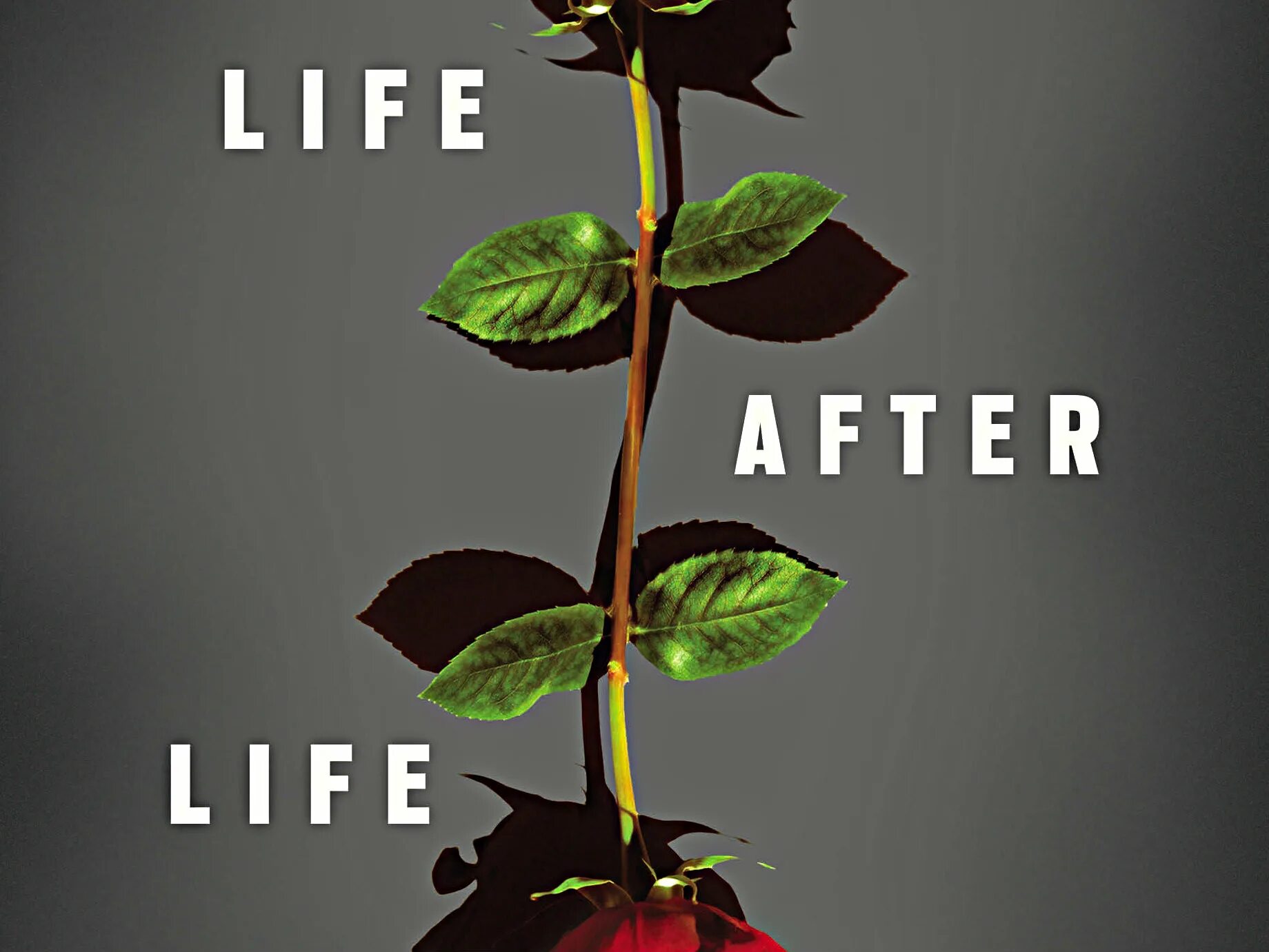 Year after life. Kate Atkinson Life after Life. Life after Life book. Жизнь после жизни Кейт Аткинсон. Year after Life обложка.