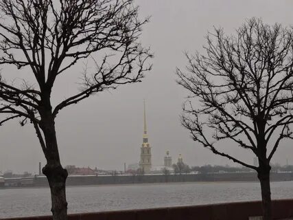 Какая погода в ноябре в спб