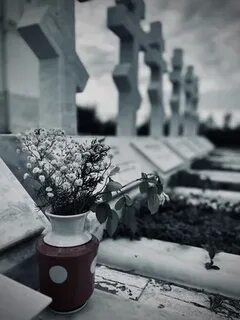 Они хотели похоронить нас