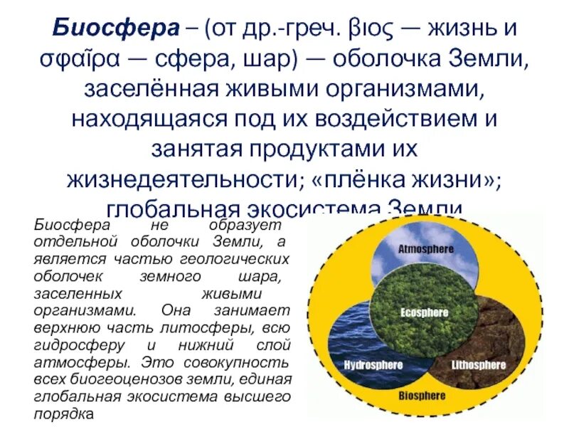 Оболочка земли заселенная живыми организмами ответ. Биосфера – Глобальная экосистема земли. Биосфера Глобальная экосистема учение в.и Вернадского о биосфере. Биосфера сфера жизни. Биосфера сфера жизни презентация.