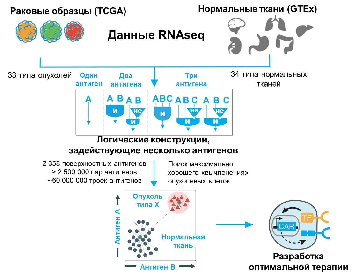 При каком раке худеют