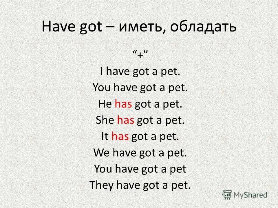 He can climb like перевод. Английский язык 2 класс spotlight. Английские слова животные и глаголы. Подчеркни правильный вариант и прочти предложение she can dance like. I can jump, i can run, i can climb out in the sun! i can jump, i can run, i can swim out in the sun!.