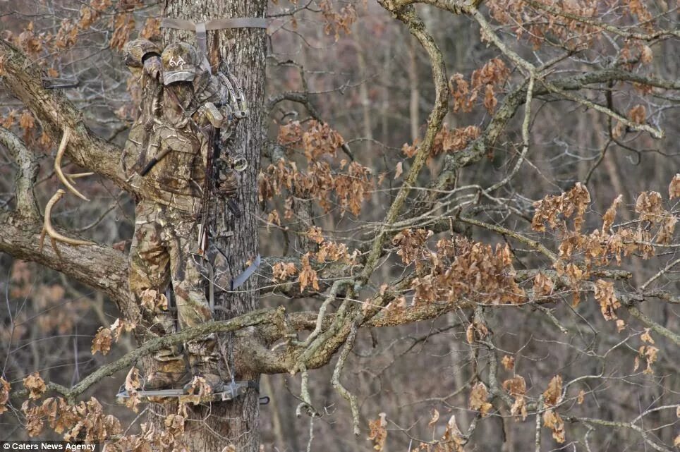 Замаскированный или замаскированы. Маскировка снайпера. Камуфляж на природе. Снайпер в камуфляже. Замаскированные Снайперы.