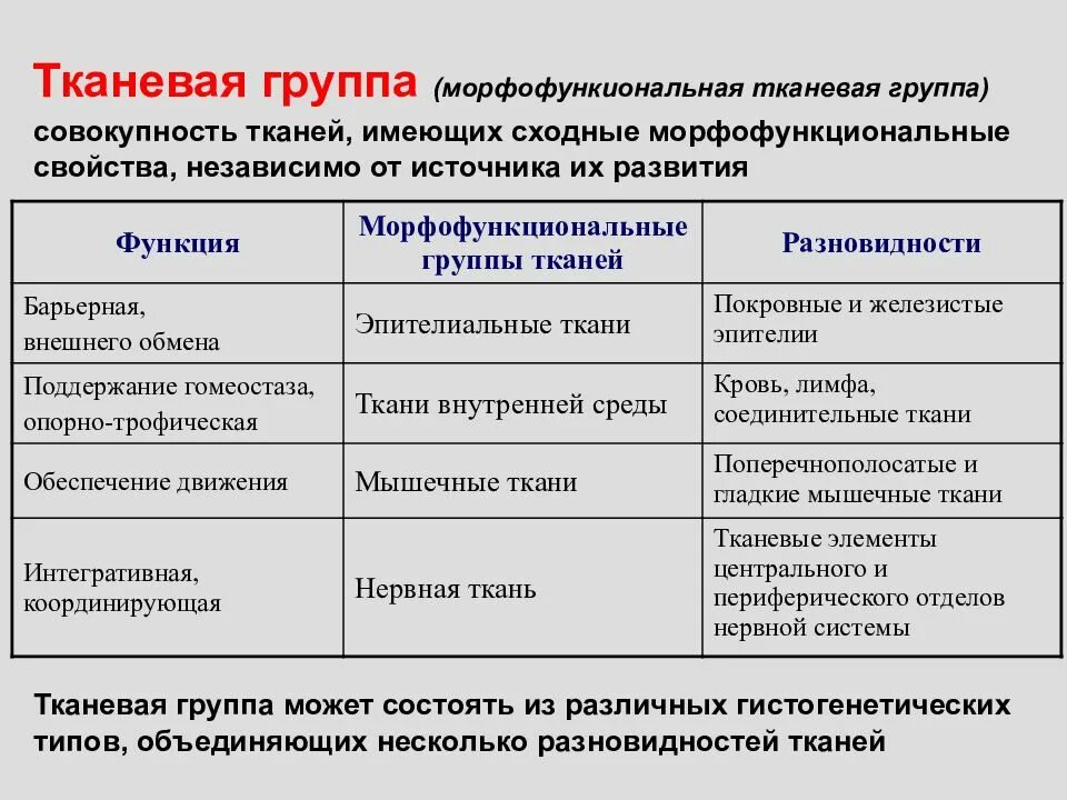 Морфофункциональные группы тканей. Основные морфофункциональные группы тканей:. Морфофункциональная классификация тканей. Классификация хлопка семейство. Свойство группы объединенная