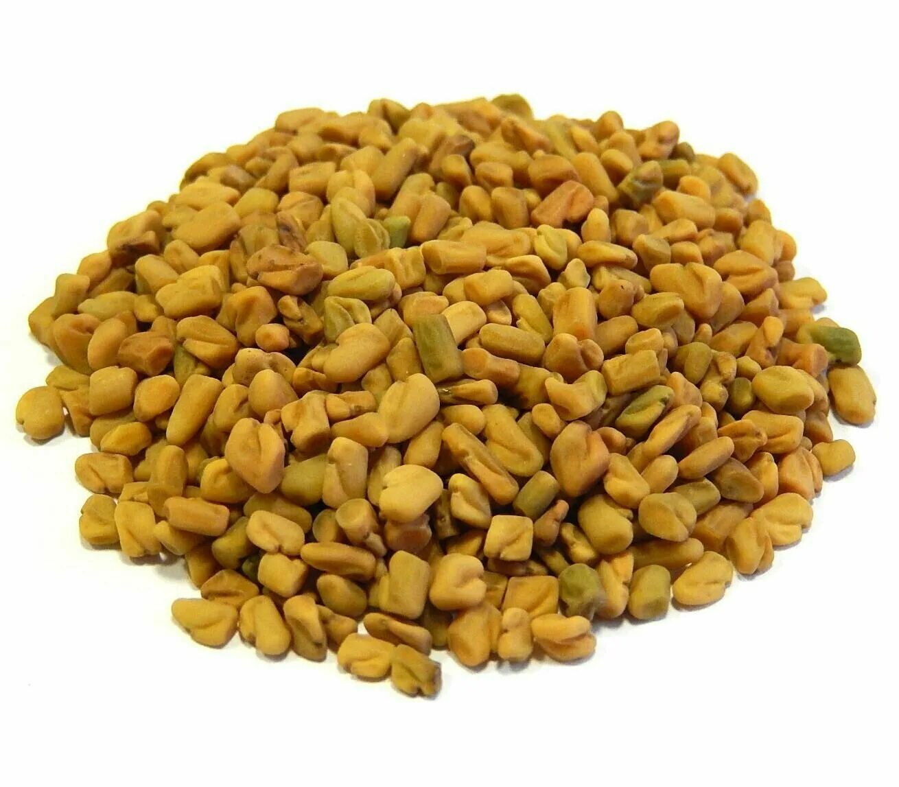 пажитник растение для приправы. пажитник москва. пажитник греческий. пажитник сенной шамбала. семена пажитника растение.