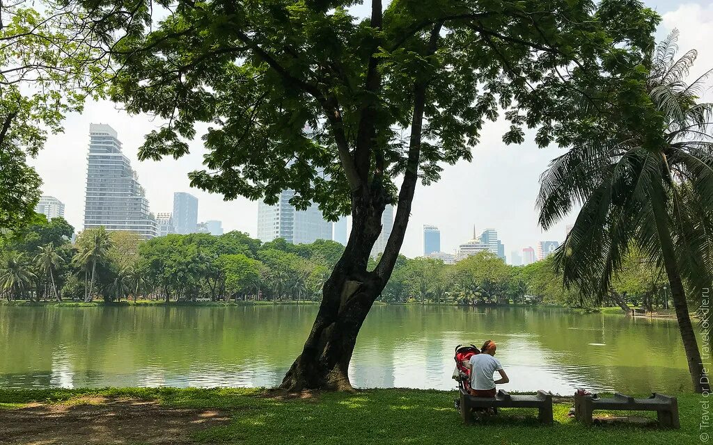 Люмпини бангкок. Парк Люмпини. Парки Lumphini Бангкок. Парк Люмпини / Lumpini Park.