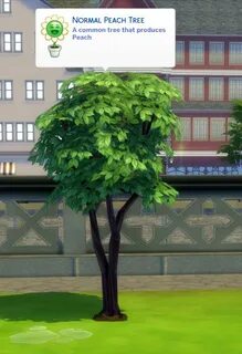Sims tree