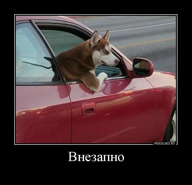 брент линч джек веттриано. демотиваторы неожиданно. когда внезапно. шахта северный маганак прокопьевск. внезапно как.