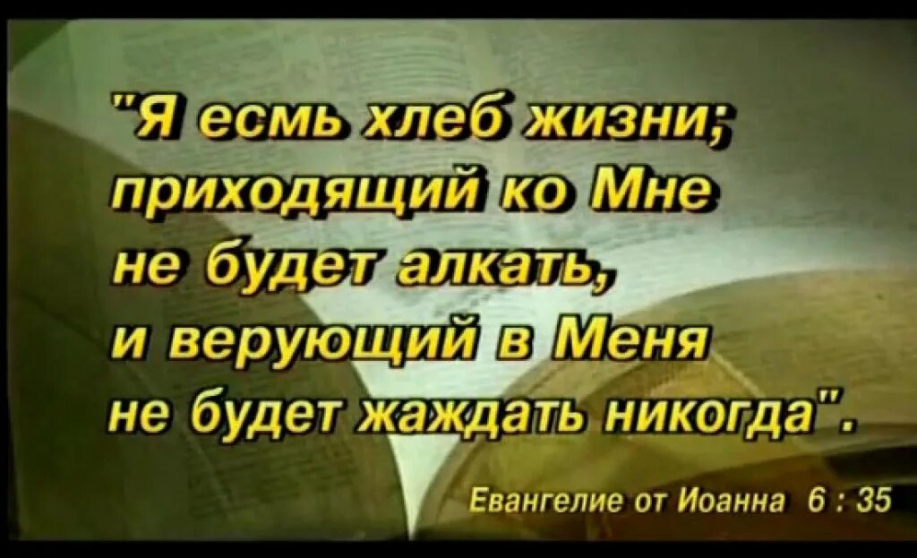 Жить без хлеба. Я есмь хлеб жизни; приходящий ко мне. Я есмь Воскресение и жизнь верующий в меня. Господь хлеб жизни. Я есть хлеб жизни.