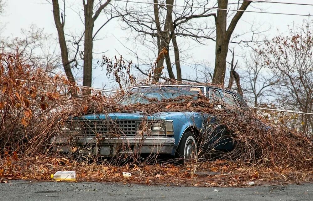 Брошенные машины. Заброшенные авто. Старые брошенные автомобили. Заброшенные американские автомобили.