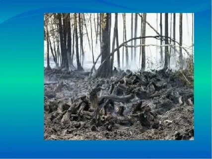 Влияние человека на краснодарский край