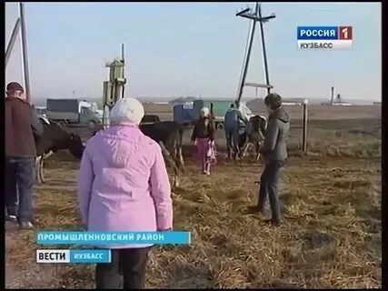 Погода в тарасово промышленновский