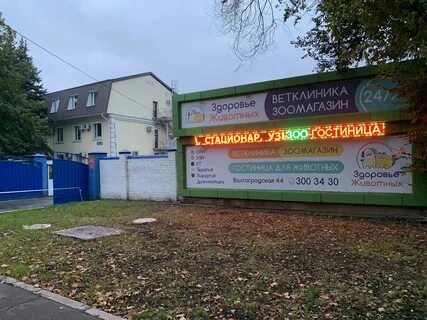 Здоровье животных волгоградская ул 44 2