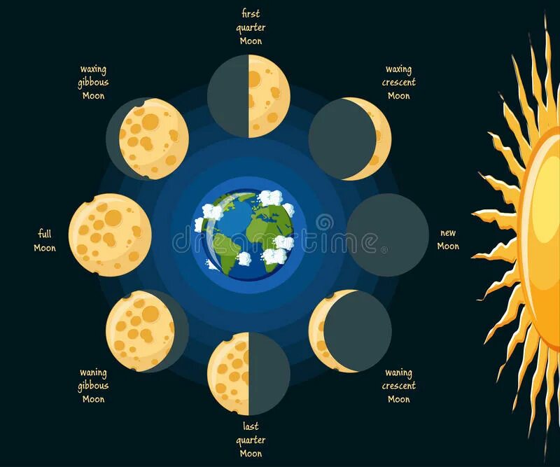 Фазы Луны для детей. Фазы Луны картинки для детей дошкольного возраста. Фазы Луны для травника. Moon phases картинки. Карта солнца и луны