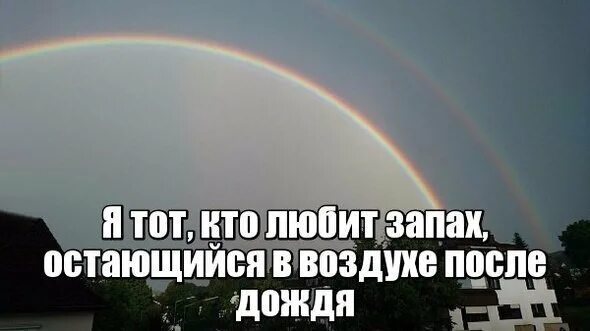 Запах после. Запах после дождя. люблю запах после дождя цитаты. запах земли после дождя. обожаю запах дождя.