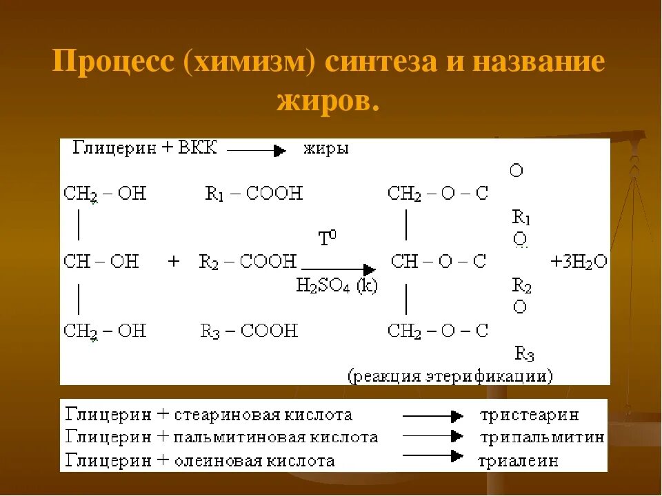 Жир олеиновой кислоты формула. Пальмитиновая кислота и глицерин Синтез жиров. Синтез жира из линолевой кислоты и глицерина. Глицерин и пальмитиновая кислота реакция. Уравнение синтеза жира.