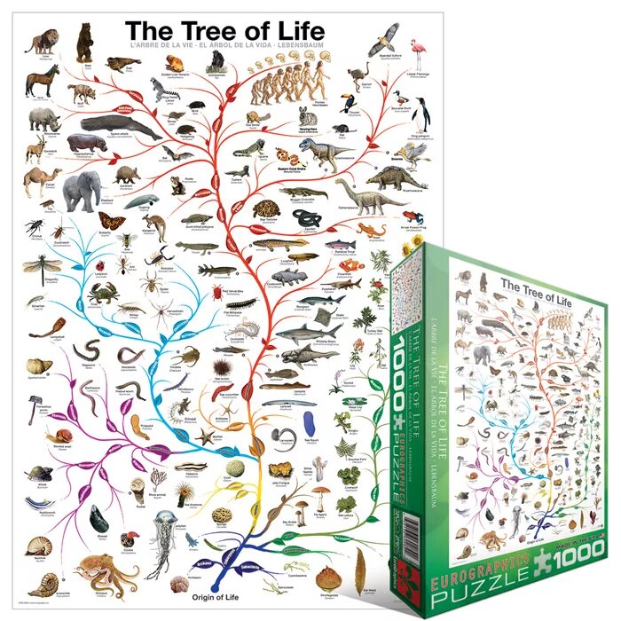 Головоломка эволюция. Пазл дерево жизни. Tree of Life Evolution. Пазл Эволюция. Evolution & classification of Life.