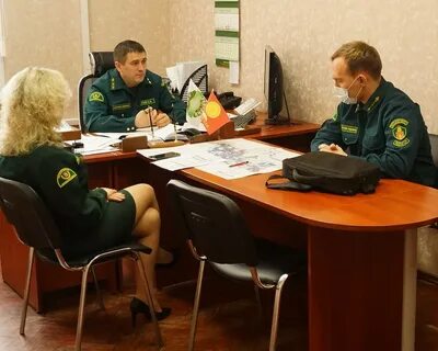 Гку мо мособллес