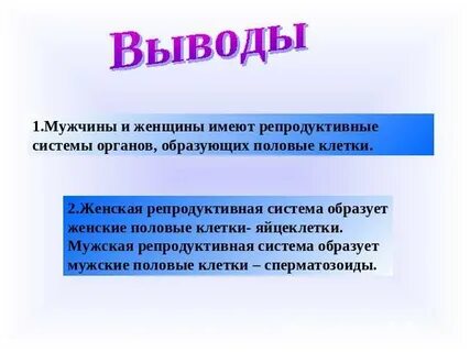 1 репродуктивная система