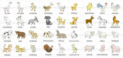 Дети 4 года какое животное