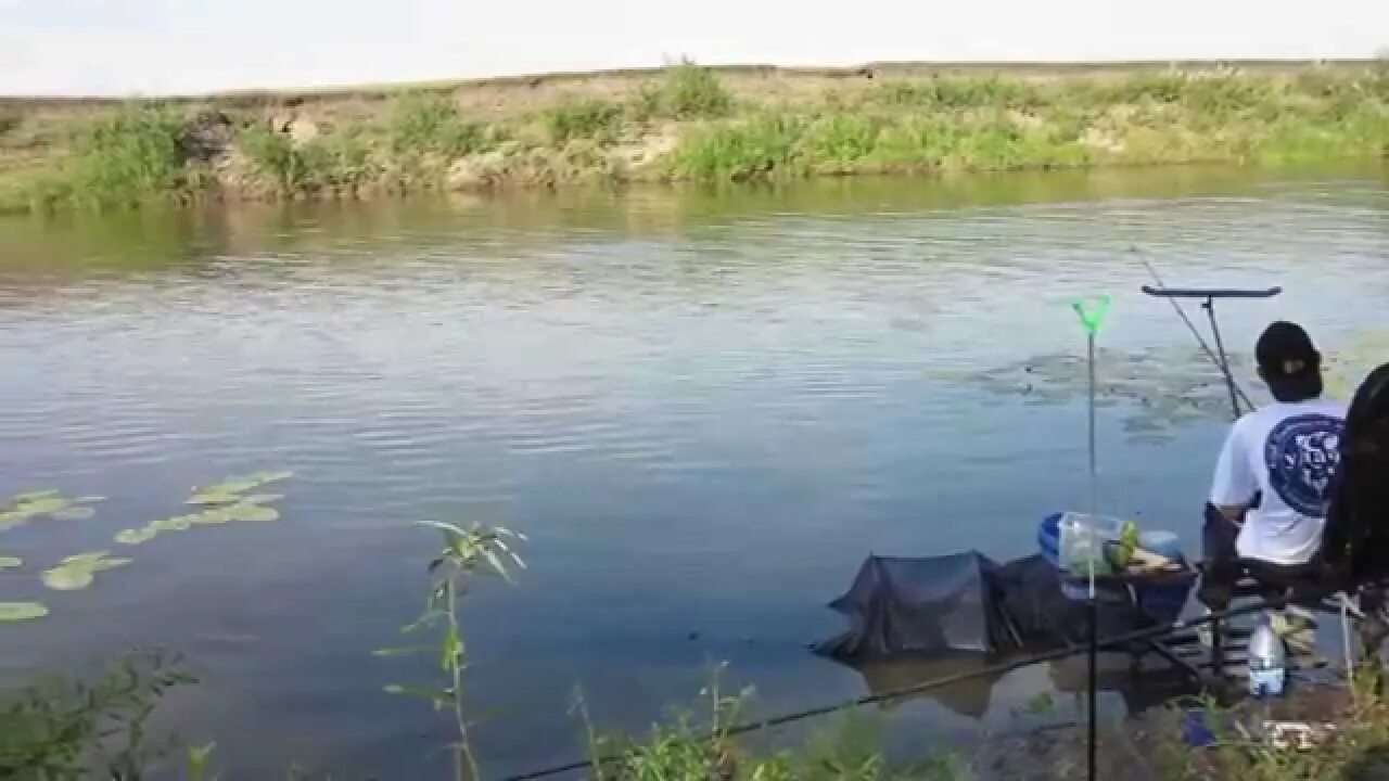 Река в турнире. Рыбалка на реке Тобол в Курганской области. Рыбалка на реке Тобол. Рыбалка Тобол Курган. Река Тобол рыбы.