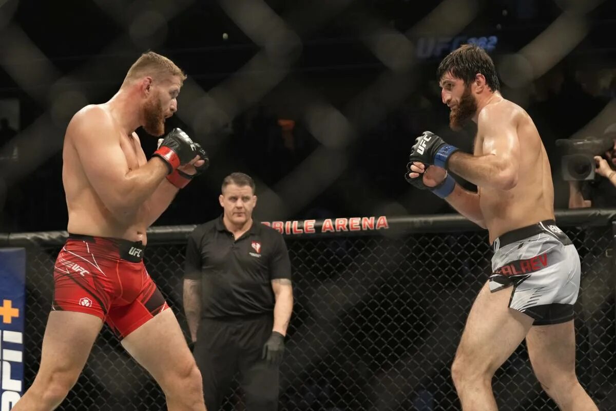 Чаборз боец. Сирил ган тай туиваса. Ufc розенстрайк. Ufc fight night 240. Юфс 281.