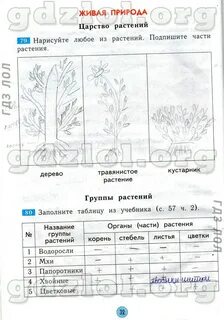 Решебник по окружающему 2 класс