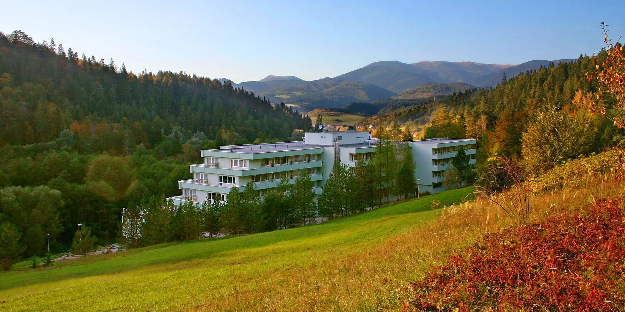 Поляны 4. Поляны 4. Хоспис 3 бутово. Пейзажи природы. Хоспис 3 бутово.