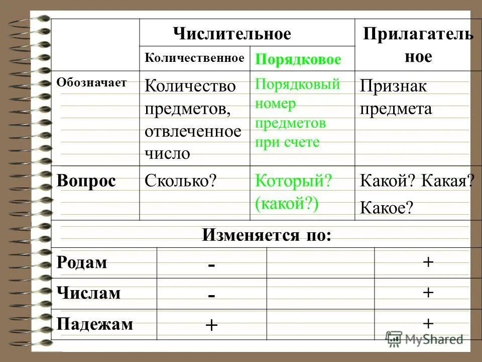 Какие числительные изменяются по родам и числам