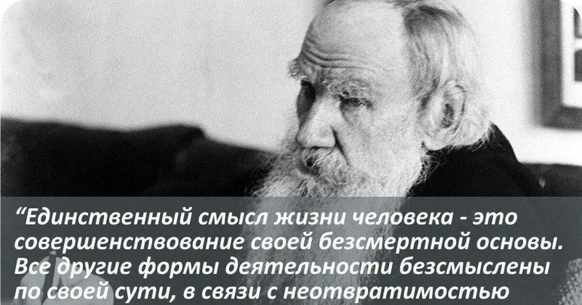 Популярные смыслы жизни. О смысле жизни. Философские высказывания. Единственный смысл жизни. Афоризмы великих людей.