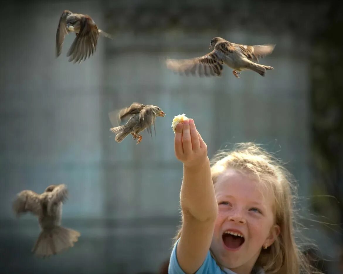 Птицы для детей. Радостная птичка. Дети радуются. Детишки птиц.