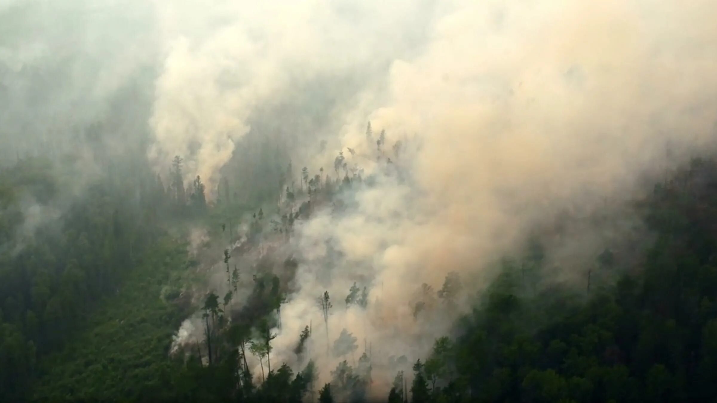 2019. Forest Fires in Siberia. Смог от лесных пожаров. Дым пожар. Дым от лесных пожаров. К чему снится пожар без дыма