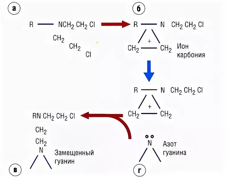 Механизм действия это что. Механизм действия это что. Механизм действия это что. Механизм действия это что. Механизм действия это что.
