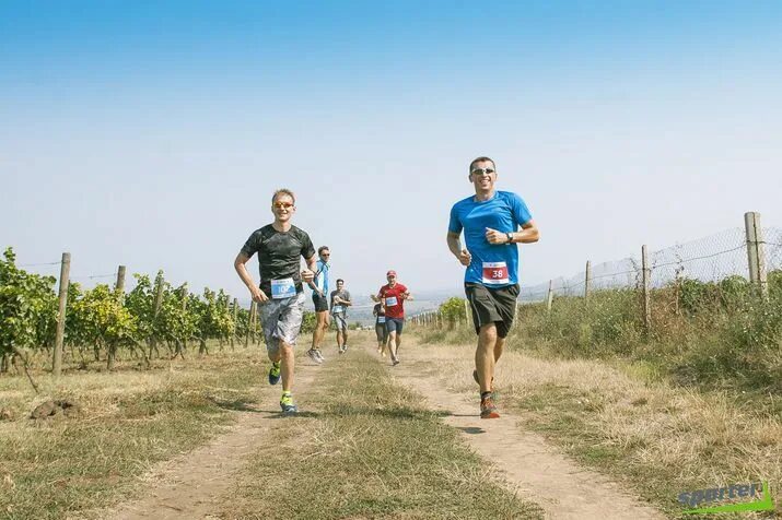 Спортсмены из Молдовы. Забег виноград. Спортсмены Молдовы. Трейловый забег дети картинка. Бегун пробежал 350 метров за 50