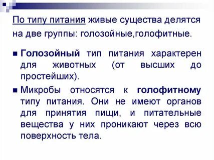 Голозои примеры