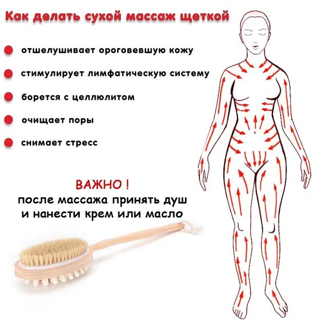 Как пользоваться антицеллюлитной щеткой. Как пользоваться антицеллюлитной щеткой