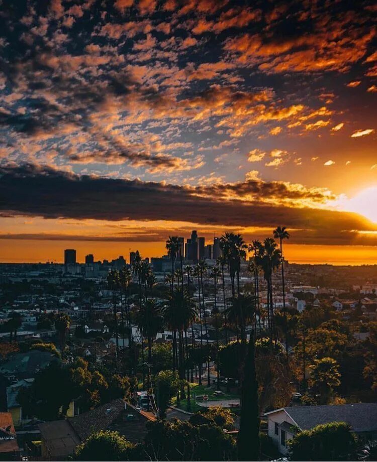 Sunset she