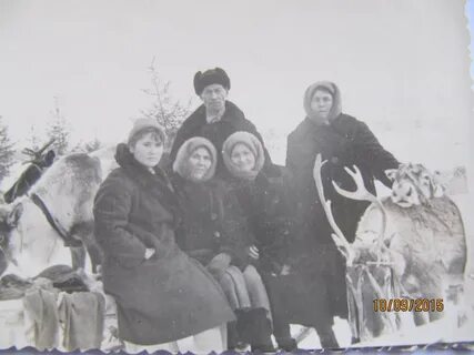 Погода в нялино