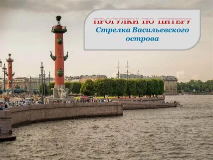 Цветы на васильевском острове