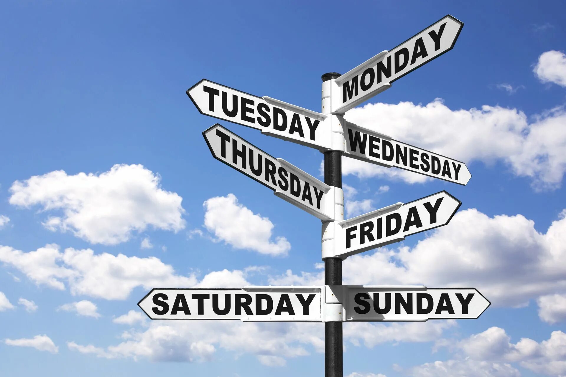 Why one day. Days of the week. days of the week картинки. seven days a week. days of the week list.