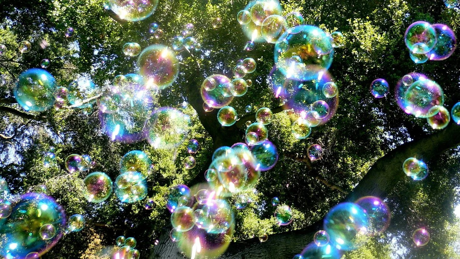 Поставь пузырьки. Мыльные пузыри. Красивые мыльные пузыри. Фон мыльные пузыри. Мыльные пузырьки.