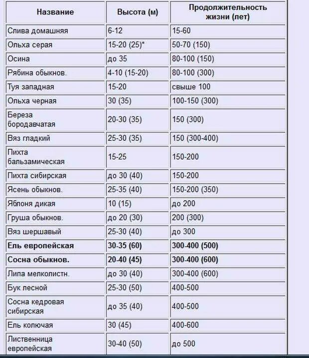 Сколько растет 1 дерево. Клен Продолжительность жизни деревьев таблица. Дуб Продолжительность жизни деревьев таблица. Клен Продолжительность жизни деревьев таблица 1 класс. Продолжительность жизни дерева клен в России.