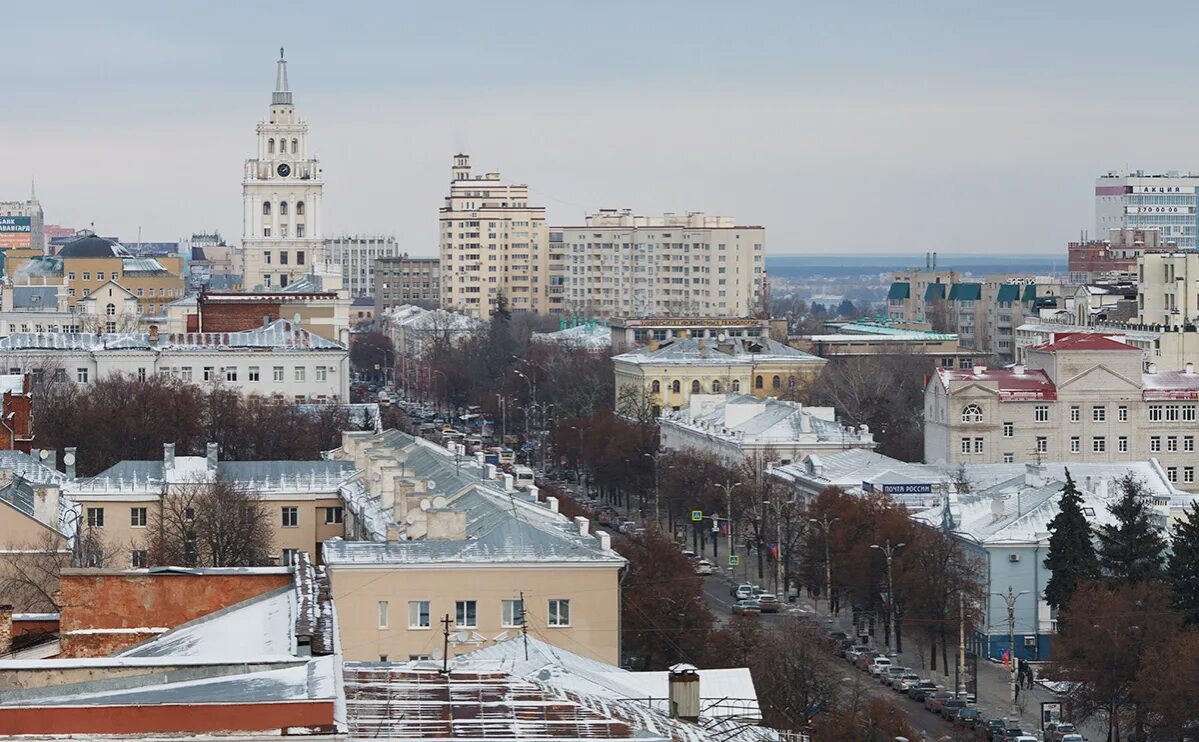 Что делать в воронеже. Что делать в воронеже. Чернавский мост воронеж. Воронеж город миллионник. Воронеж фото.