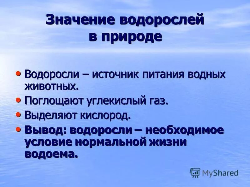 Вывод водорослей