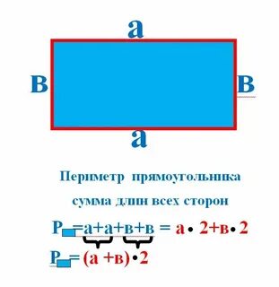 Периметр прямоугольника 40 см может ли длина