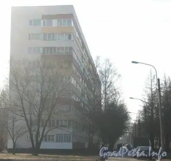 Партизана германа 21