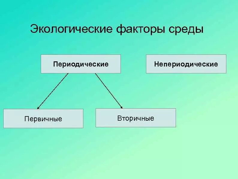 Какие факторы среды называют экологическими. Экологические факторы среды. Экологические факторы раздражители. Периодические и непериодические факторы. Периодические экологические факторы.