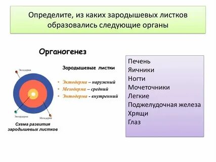 Листок какая ткань